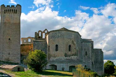 Abbazia Montmajour arles