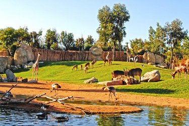 bioparco-valencia