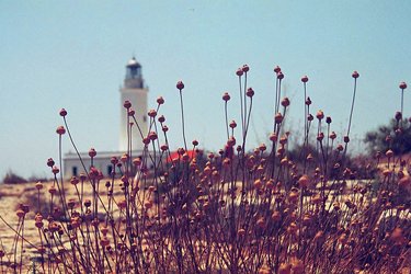 I fari di Formentera