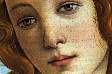 Le Sale del Botticelli