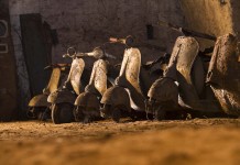 La Galleria Borbonica di Napoli / Tunnel Borbonico La Galleria Borbonica di Napoli