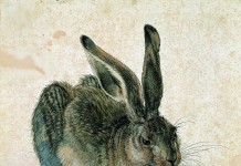 Il Museo dell’Albertina di Vienna Il Museo dell'Albertina a Vienna