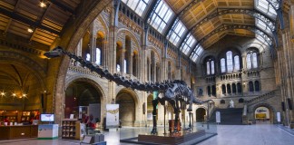 Il Museo di Storia Naturale a Londra Il Museo di Storia Naturale a Londra