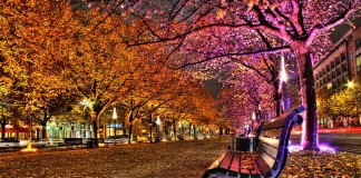 Unter den Linden a Berlino Unter den Linden a Berlino