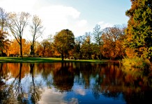 Il Vondelpark di Amsterdam Il Vondelpark di Amsterdam