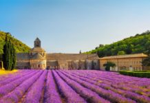 L’Abbazia di Sénanque in Provenza Abbazia di Senanque in Provenza