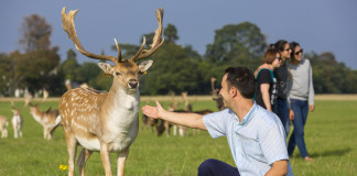 Phoenix Park a Dublino Phoenix Park a Dublino