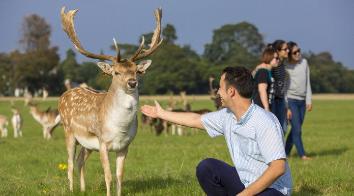 Phoenix Park a Dublino