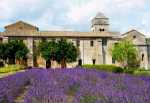 Saint-Rémy de Provence in Provenza Saint-Remy de Provence in Provenza