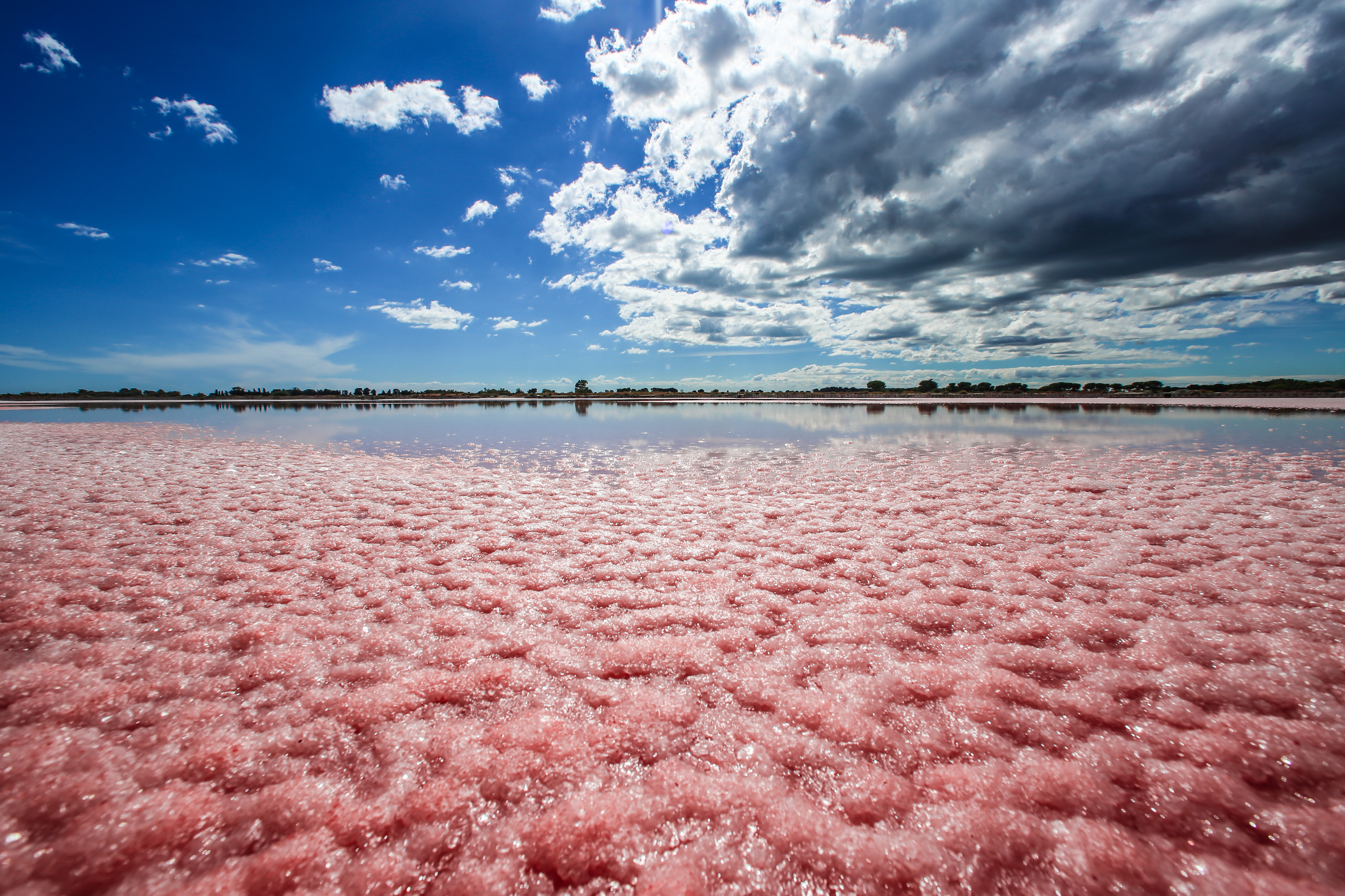 Le Saline di Aigues Mortes