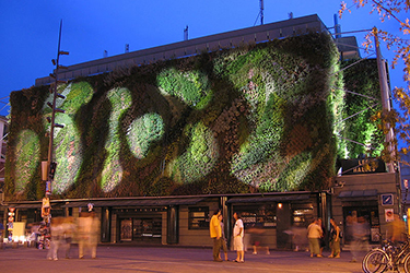 Mercato Les Halles