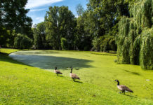 Parchi, giardini e zone verdi di Bruxelles Parchi, giardini e zone verdi di Bruxelles