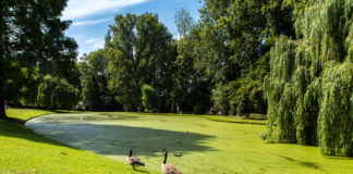 Parchi, giardini e zone verdi di Bruxelles Parchi, giardini e zone verdi di Bruxelles