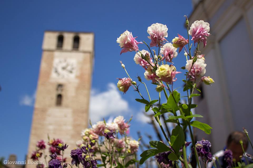 Borgo in fiore a Castellaro Lagusello