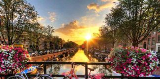 Cosa vedere e fare ad Amsterdam: 13 luoghi imperdibili Cosa vedere ad Amsterdam