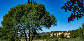 Cosa fare e vedere a Lourmarin in Provenza