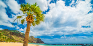 10 cose da fare e vedere a Tenerife Tenerife