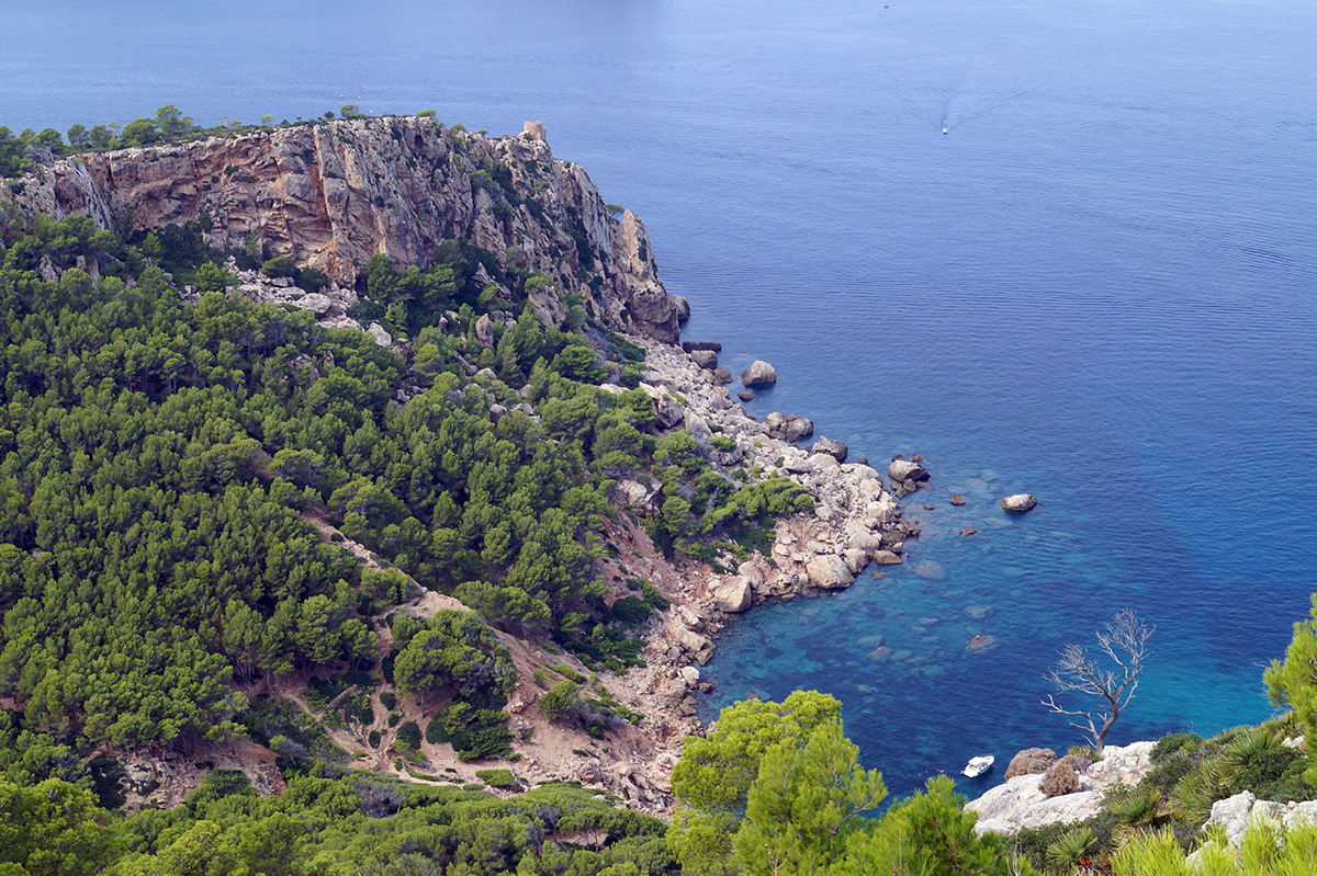 Cala en Basset maiorca