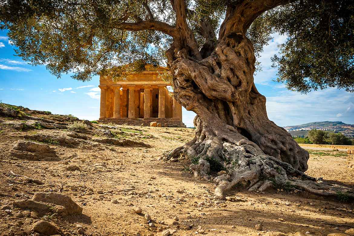 Il Giardino della Kolymbethra