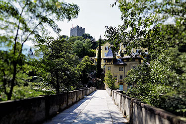 La Passeggiata Tappeiner