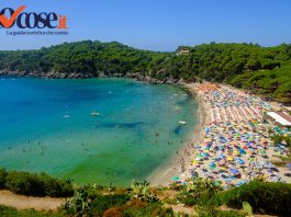 Le spiagge più belle dell'Isola d'Elba