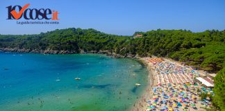 Le spiagge più belle dell'Isola d'Elba