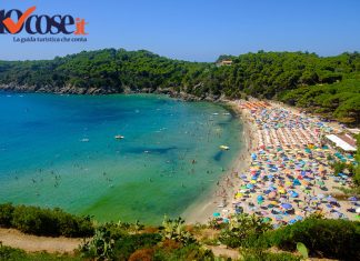 Le spiagge più belle dell'Isola d'Elba