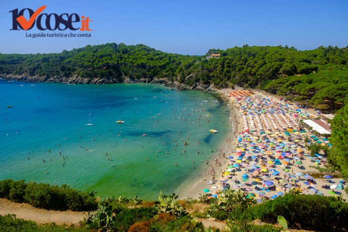 Le spiagge più belle dell'Isola d'Elba