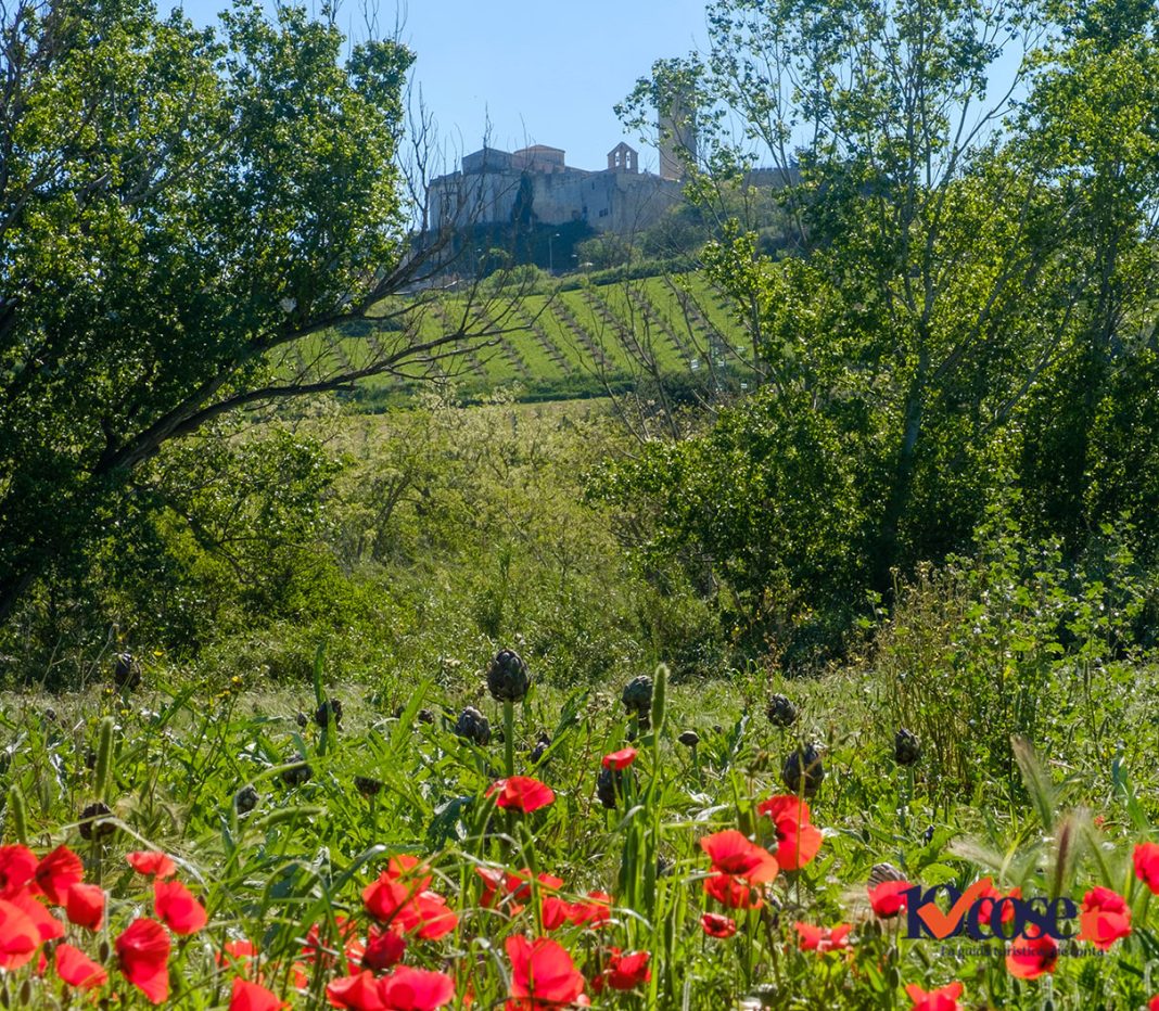 La Chiesa di Santa Maria di Castello vista dalla valle