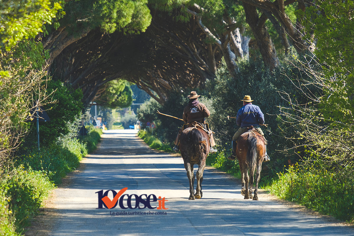 La Maremma e i dintorni di Grosseto La Maremma e i dintorni di Grosseto
